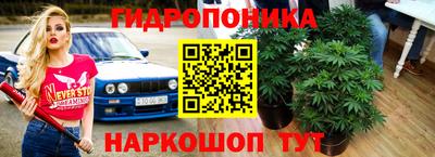 мяу мяу мука Бугуруслан