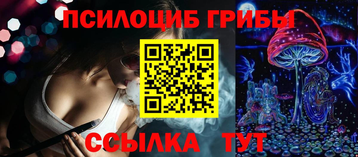 Псилоцибиновые грибы мицелий Хасавюрт