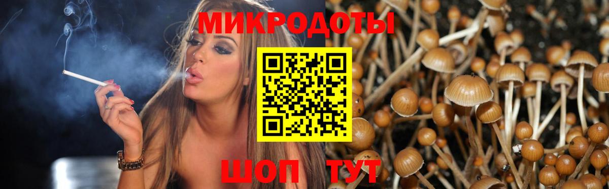 Галлюциногенные грибы GOLDEN TEACHER  Вход с VPN  Хасавюрт 
